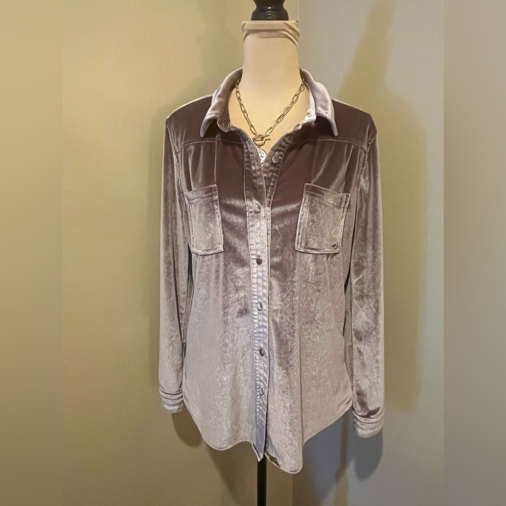 Dear John Velvet Button-Down Shirt in bronze, size Medium